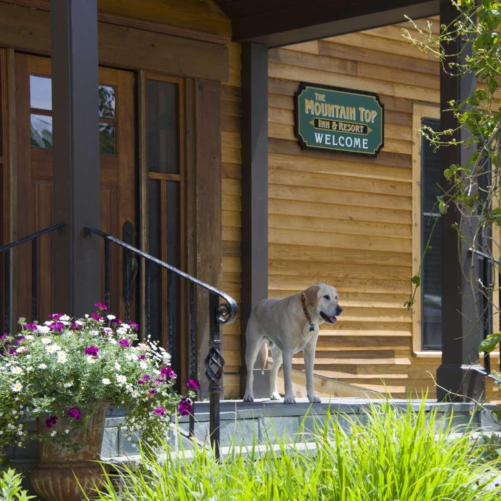 The Mountain Top Inn & Resort Chittenden Удобства снимка